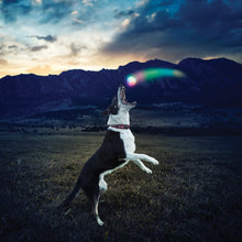 Load image into Gallery viewer, Nite Ize GlowStreak LED Dog Ball and Beacon